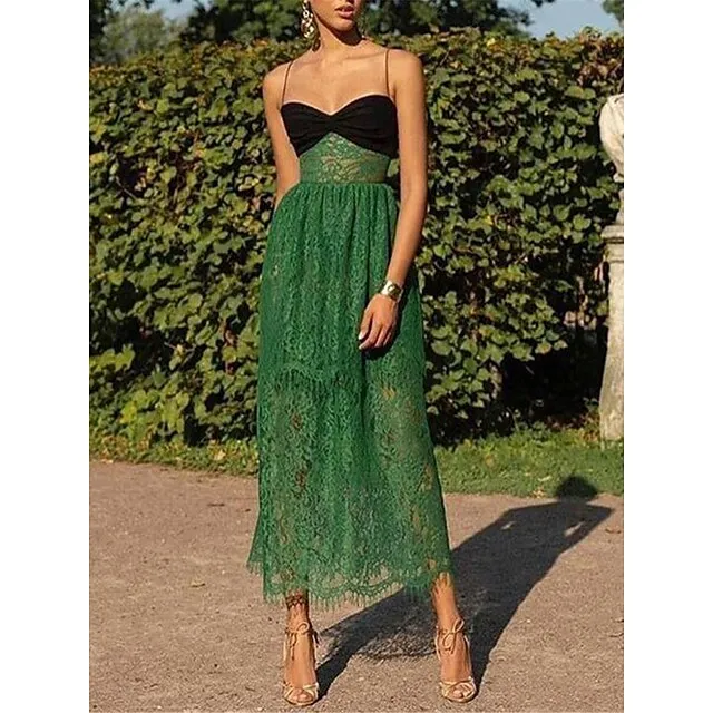 12805662.webp 12805662